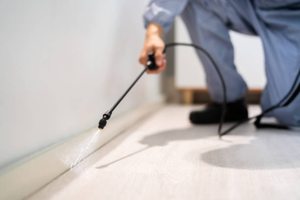 Licensed Termite Control service in Hampstead, MD - Nex Pest Control
