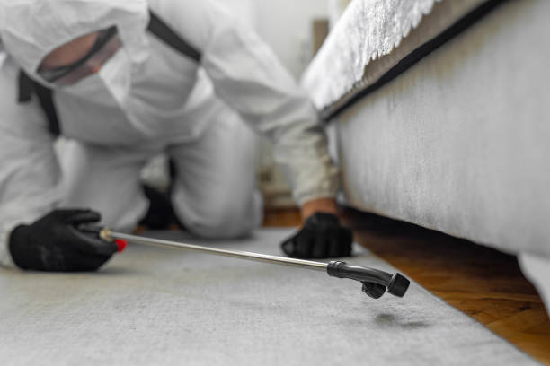 Professional Termite Control technician working in Hampstead, MD