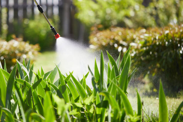 24/7 Emergency Termite Control experts in Hampstead, MD
